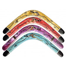 Australia's largest expert returning boomerang - 22 inch wide Billabong 